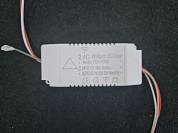 Драйвер 80+80W